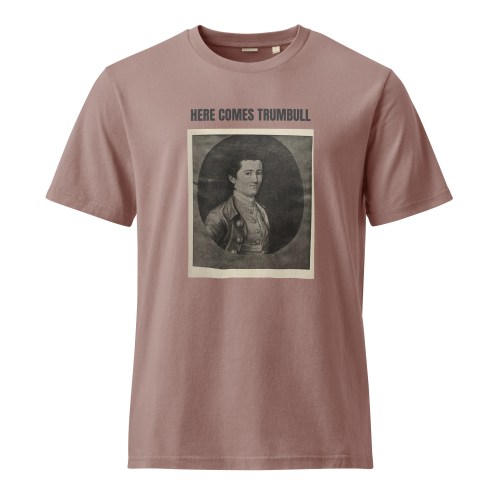 HERE COMES TRUMBULL Unisex Garment Dyed Creator 2.0 Vintage T-Shirt | Stanley/Stella SATU041